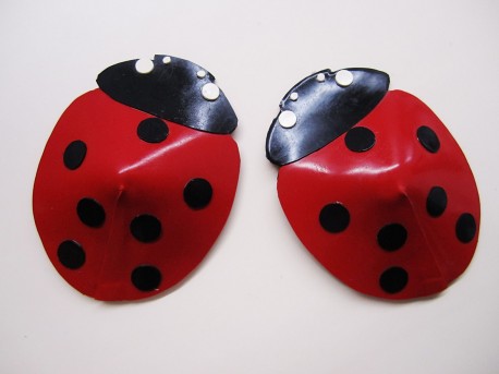 Ladybird Latex Pasties