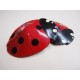 Ladybird Latex Pasties